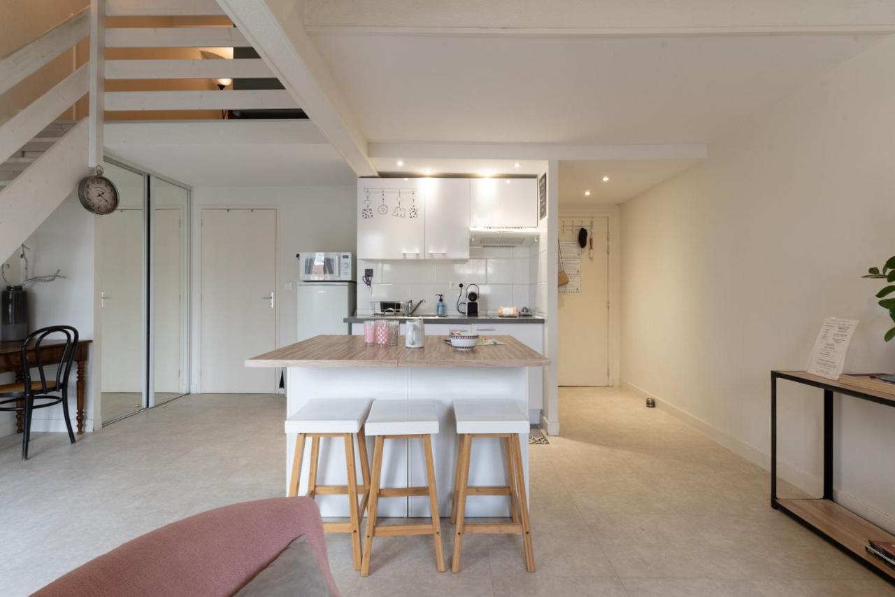 Apartment Cosy - 2 A 4 Pers - Aeroport - Vieux Blagnac